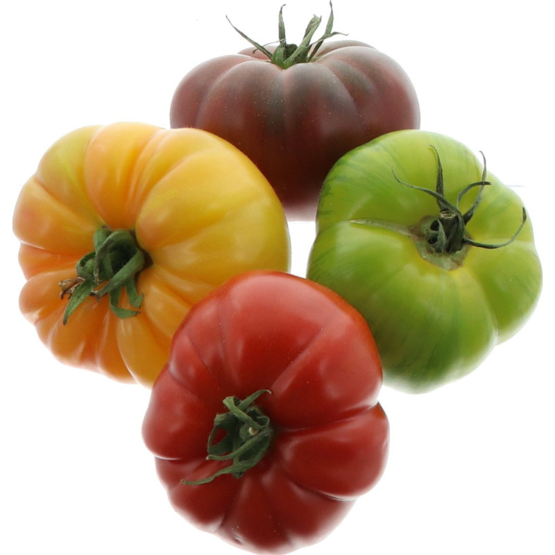 TOMATE ANCIENNE MIXTE COULEUR 3,5KG